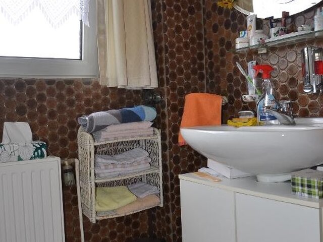Gäste WC mit Dusche im EG