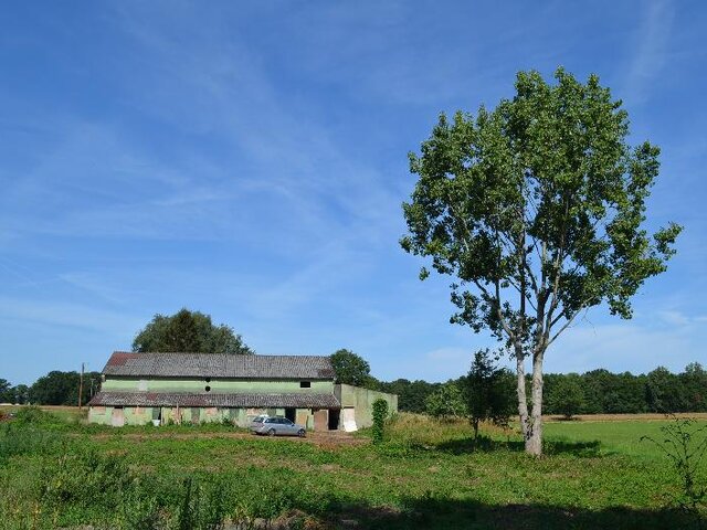 Von der Stallseite aus