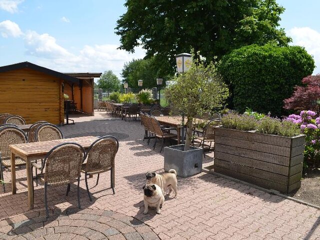 Biergarten, alter Baumbestand