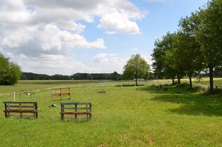 Wiesen hinten mit Fernsicht