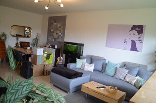 Wohnzimmer Bild 2
