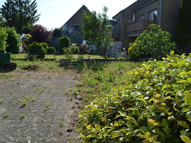 Garten hinten