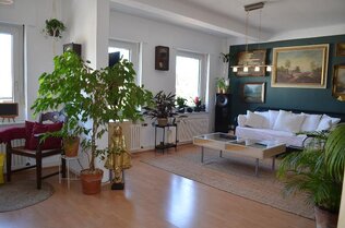 Wohnzimmer Wohnung 2