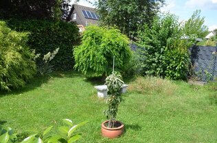 Gartenansicht
