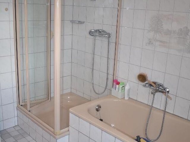 Badewanne und Dusche im Bad