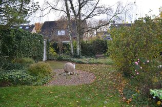 Großer, gewachsener Garten