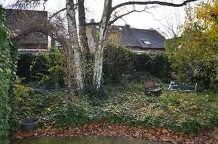 Hinterer Bereich vom Garten