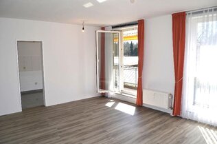 Wohnzimmer zu Küche und Loggia