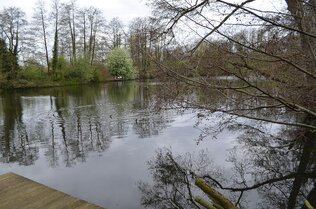 Gewässerblick ab Steg